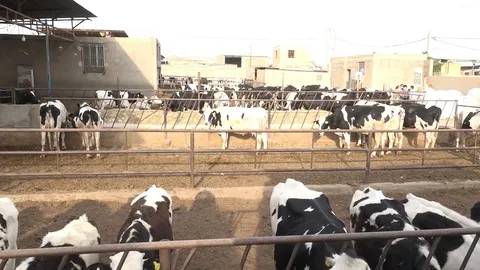 ترک فعل وزارت جهاد در تامین نهاده نباید تکرار شود؛ تخصیص ارز به‌موقع باشد