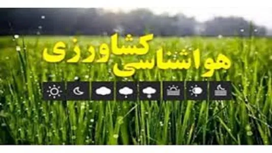 کشاورزان نسبت به جمع آوری سرشاخه و میوه&zwnj;های آلوده قبل و بعداز وزش باد اقدام کنند