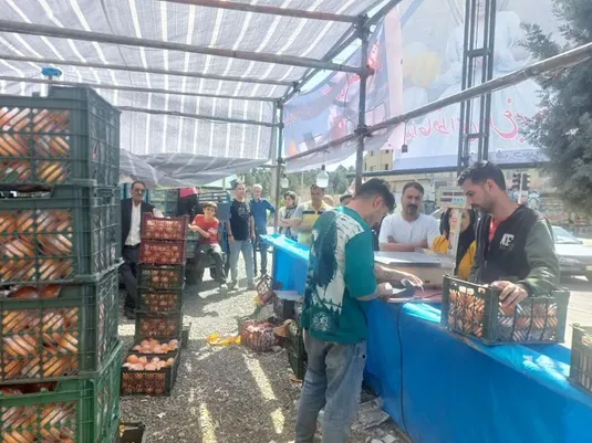 طرح تنظیم بازار نوروز ۱۴۰۴ زیانی برای تعاون روستایی نداشت