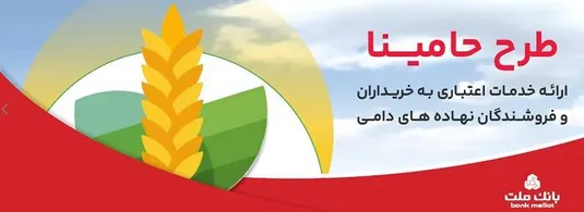 "حامینا" محصول جدید بانك ملت برای تامین مالی نهاده های دامی