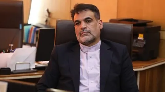 بانک&zwnj;های خصوصی جز زیان، عایدی دیگری برای اقتصاد ما نداشته&zwnj;اند