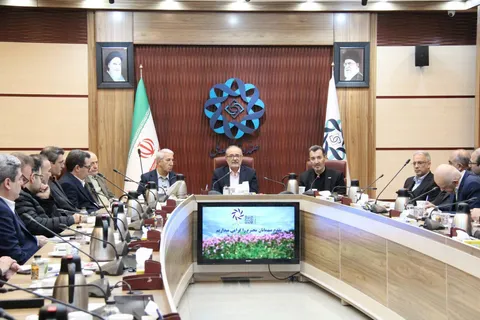 تامین برق بخش صنایع و معادن کشور از طریق سرمایه گذاری صندوق توسعه ملی