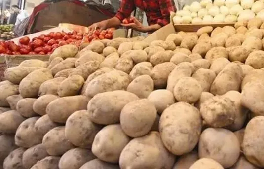 سیب زمینی ارزان راهی بازار می&zwnj;شود