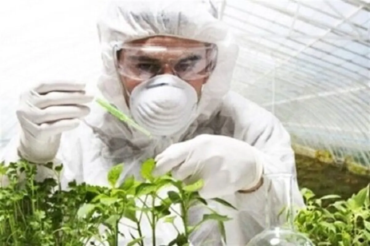 بخش کشاورزی فقط ۴ درصد انرژی کشور را مصرف می‌کند