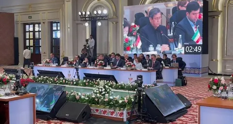 بریکس باید از گفت‌وگو به اقدام عملی برسد