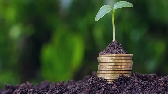 بیمه اجباری  برای ۱۰۰ درصد محصولات زراعی+ جزئیات