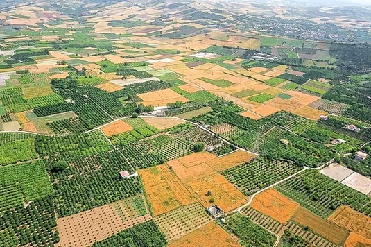 وسعت ۷۰ درصد زمین&zwnj;های کشاورزی کشور کمتر از ۷۰۰ متر است