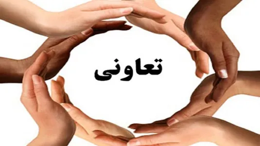 انجام ۴۵ درصد از فعالیت های کشاورزی از طریق تعاونی ها