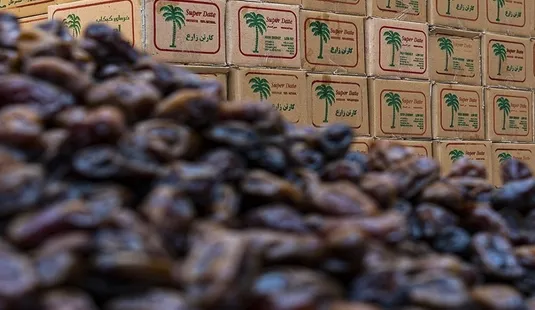 انجمن خرما: مقررات صادرات متناسب با محدودیت اقتصادی اصلاح شود