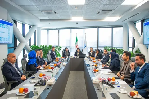 ضرورت واردات مواد پلیمری برای استمرار تولید در صنایع پایین‌دستی