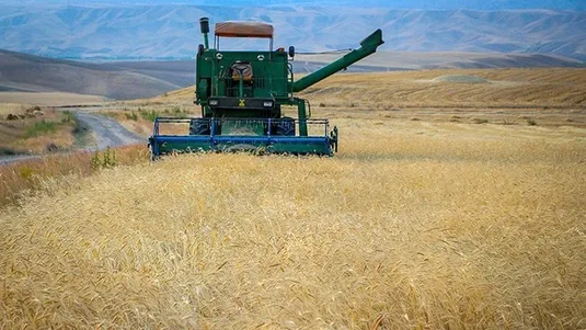 کشت فراسرزمینی گندم&nbsp;چرا برای ما استراتژیک است؟