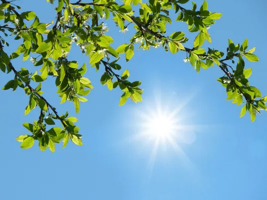 گزارش هواشناسی امروز ۶ مرداد ۱۴۰۵