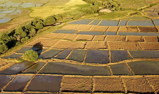 بیش از ۹۰۰ مورد تغییر کاربری غیرمجاز در کشور شناسایی شد