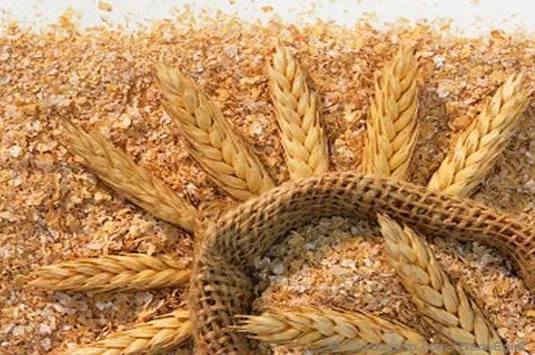 عرضه سبوس در بازارگاه فراهم شد