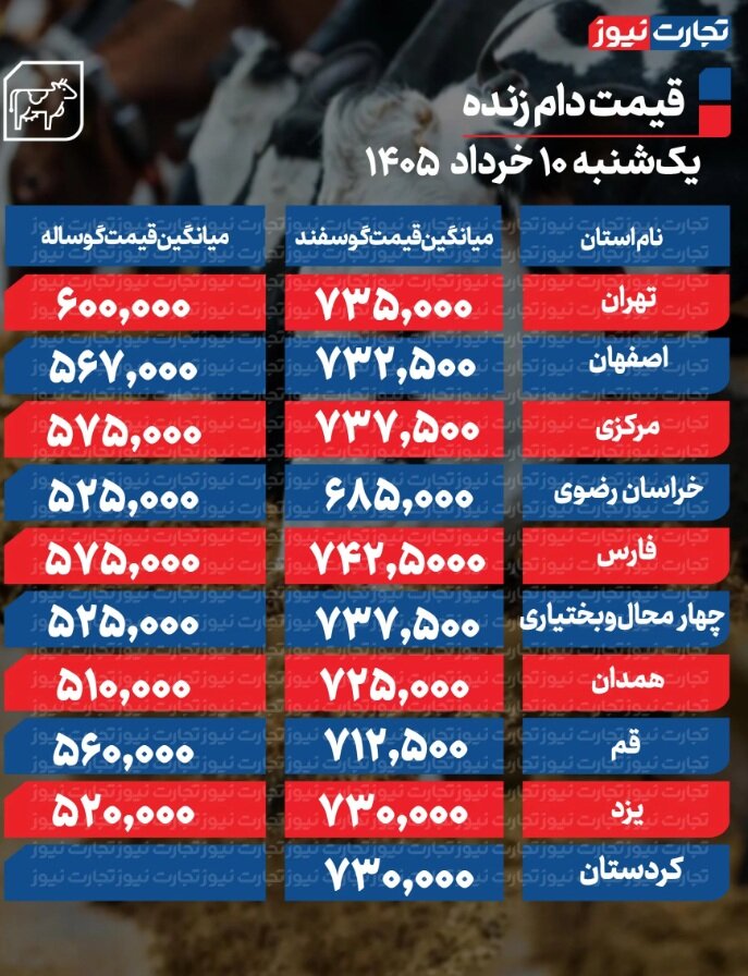 قیمت جدید دام زنده امروز یکشنبه ۱۰ خرداد ۱۴۰۵ + جدول