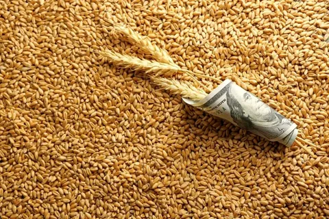 رمزگشایی از اهداف واشنگتن برای صادرات غلات به ایران