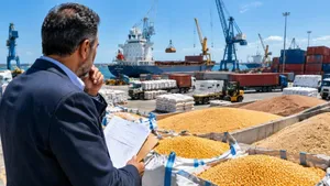 پاس‌کاری ارزی دولت و بانک مرکزی؛ مجلس چرا از طلب واردکنندگان کالای اساسی خبر ندارد