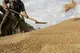 تجارت کشاورزی اوراسیا به ۱۸ میلیارد دلار رسید