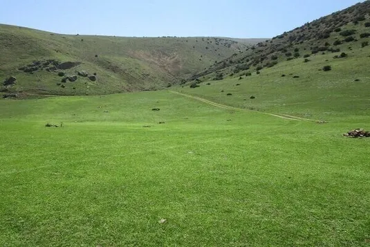 ذخیره&zwnj;سازی ۲۰ میلیارد مترمکعب آب در مراتع ایران