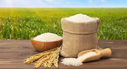 ضرورت واردات مدیریت&zwnj;شده برنج/ وزارت جهاد در تنظیم بازار خوب عمل نکرد