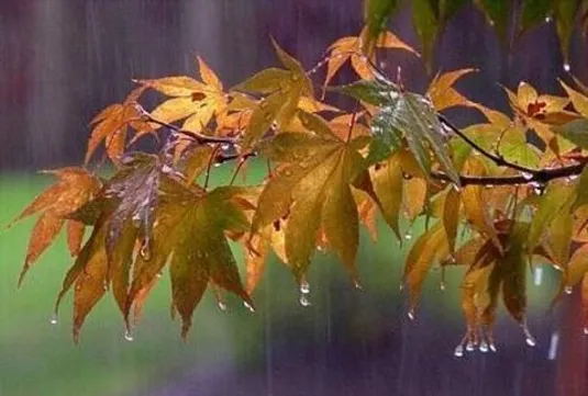 لانینا در راه ایران/هواشناسی:پاییز خوبی را پیش&zwnj;بینی نمی&zwnj;کنیم