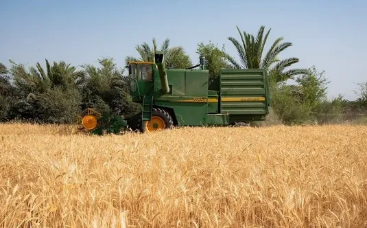 میانگین زمان صدور مجوز&zwnj;های کشاورزی به ۳۵ روز کاهش یافت