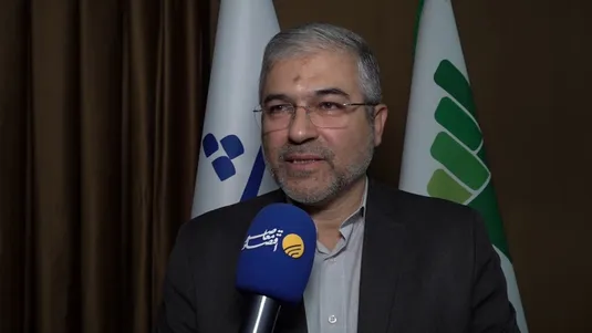 مجلس مخالف افزایش غیرمنطقی قیمت ارز کالا&zwnj;ی اساسی است