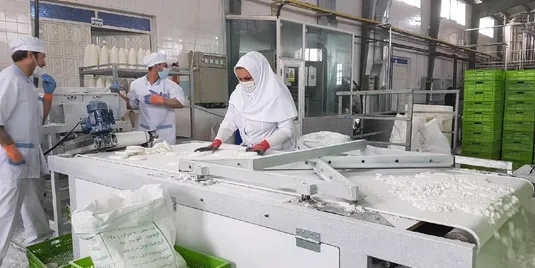 اصلاح الگوی کشت و کاهش واردات با تشویق سرمایه&zwnj;گذاری در کارخانه&zwnj;های قند