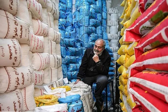 واردات برنج در فصل برداشت نباید انجام شود