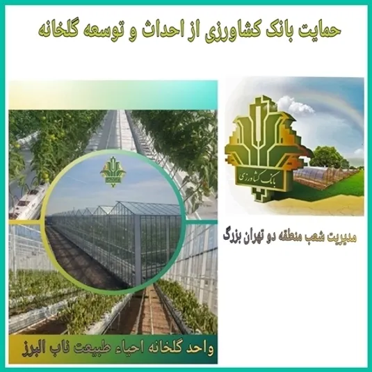 سرمایه&zwnj;گذاری ۱۰۰۰ میلیاردی بانک کشاورزی در یک طرح مدرن گلخانه&zwnj;ای