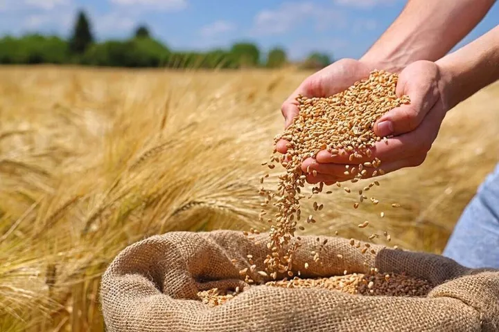 دولت به بدهی ۴ میلیارد یورویی تامین‌کنندگان کالاهای اساسی رسیدگی کند