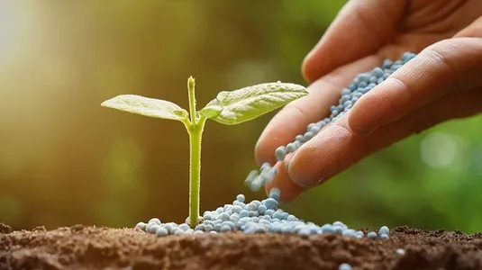 خطر استفاده بی رویه از کودهای شیمیایی در کشور