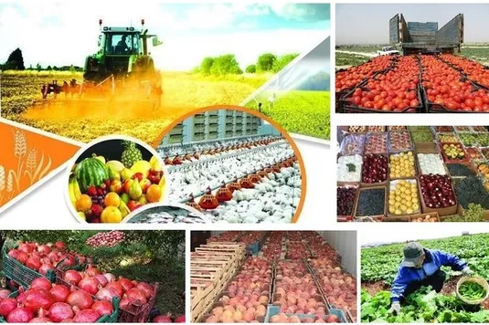 معافیت ۸۱ ردیف محصول باغی از عوارض صادراتی آب مجازی