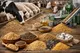 کاهش ذرت اروپا؛ زنگ خطر تازه برای بازار خوراک دام ایران