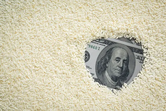 حذف ارز ترجیحی، واردات برنج بی&zwnj;کیفیت را متوقف می&zwnj;کند