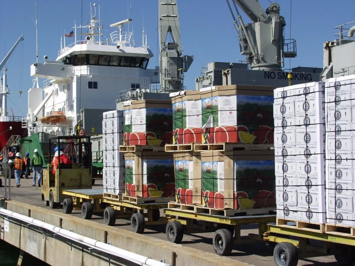 تجارت ایران و استرالیا در ۲۰۲۴ بیش از ۲.۵ برابر شد