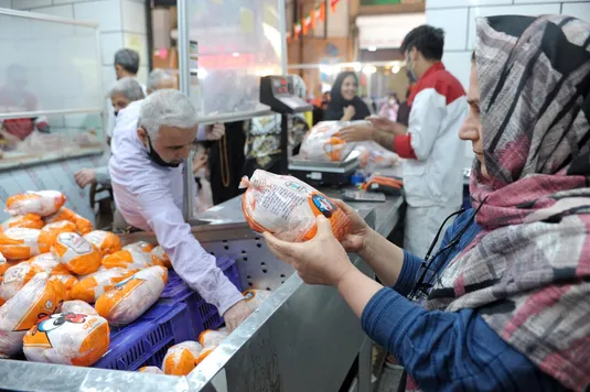 نیاز روزانه مرغ تهران حداکثر ۱۵۰۰ تن است