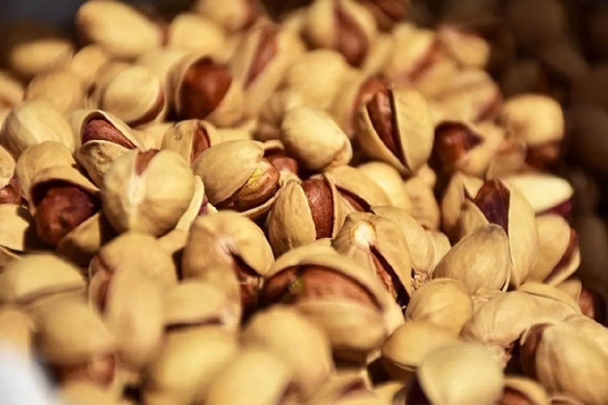 گزارش فائو از جهش ۸۰ درصدی صادرات پسته ایرانی