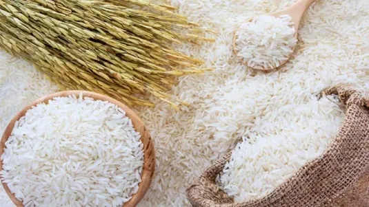 قیمت برنج تا دو هفته آینده کاهش می&zwnj;یابد