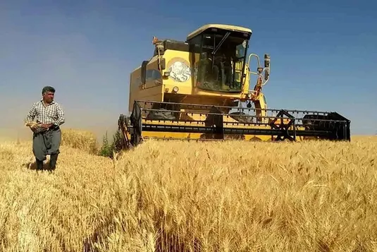 وعده پرداخت بخشی از مطالبات گندم&zwnj;کاران تا پایان هفته
