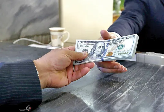 چندین ماه واردکنندگان منتظر ارز می&zwnj;مانند
