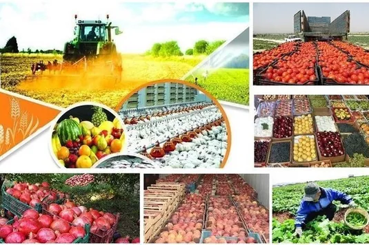 تغییرات مقررات تجاری سال جدید در یک نگاه