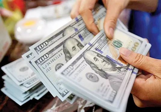 موانع سامانه تجارت برای تجار؛ از کمبود ارز تا عدم امکان ویرایش