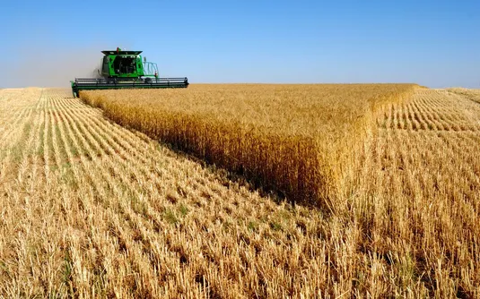 ارز ترجیحی به برنج نمی&zwnj;رسید قیمت آن امروز پایین&zwnj;تر بود