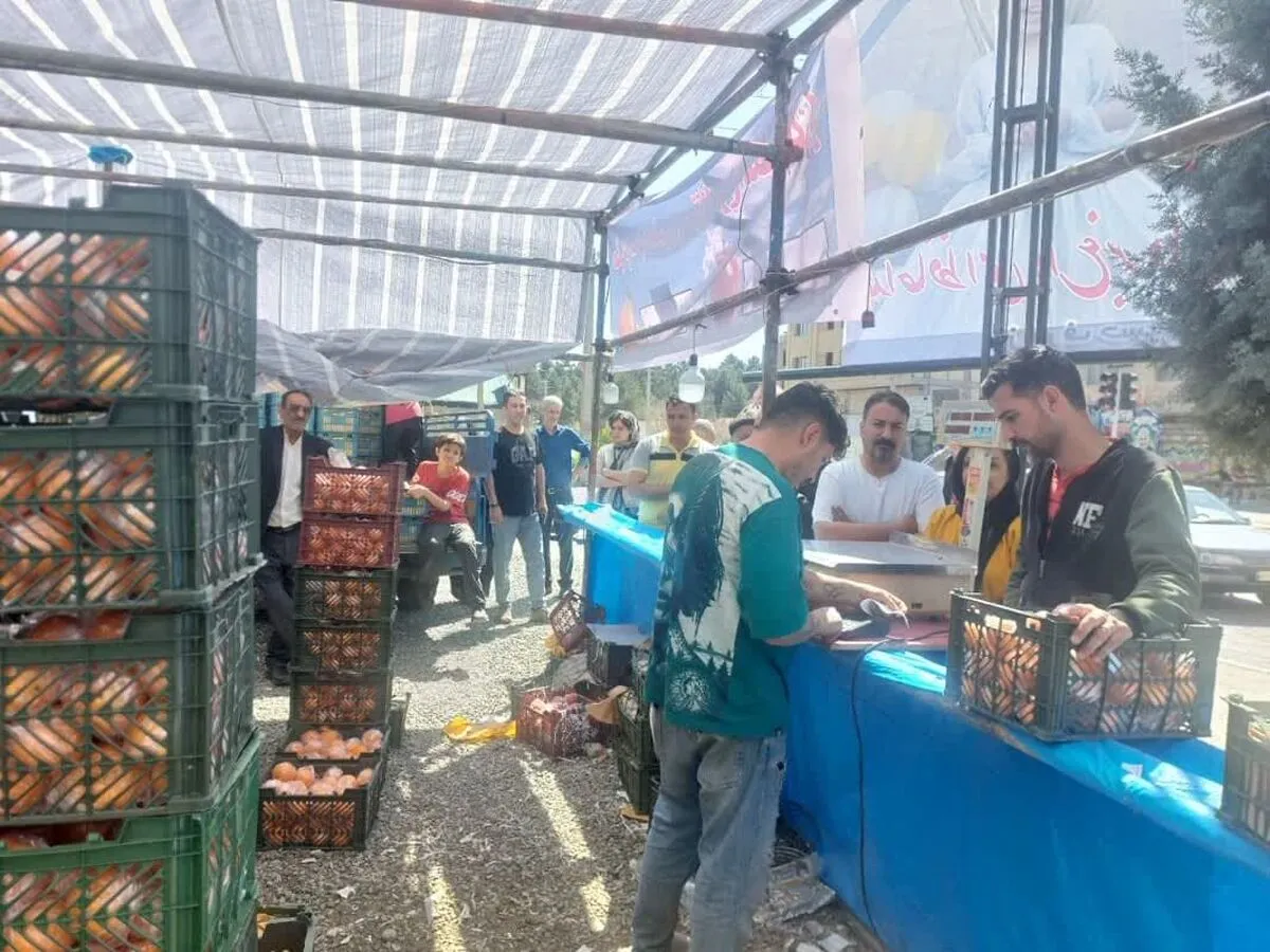 طرح تنظیم بازار نوروز ۱۴۰۴ زیانی برای تعاون روستایی نداشت