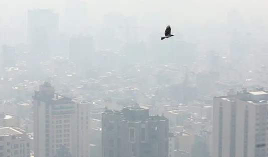 گزارش هواشناسی امروز ۱۷ آذر ۱۴۰۳