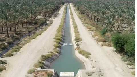 راندمان آبیاری تا افق ۱۴۱۱ به ۶۰ درصد افزایش می‌یابد