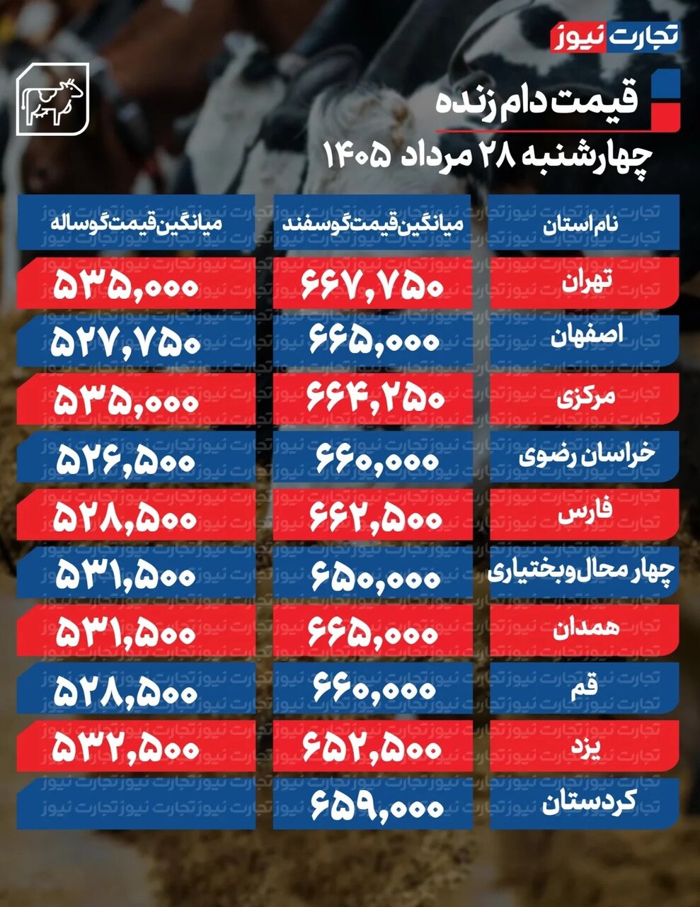 قیمت جدید دام زنده امروز ۲۸ مرداد ۱۴۰۵