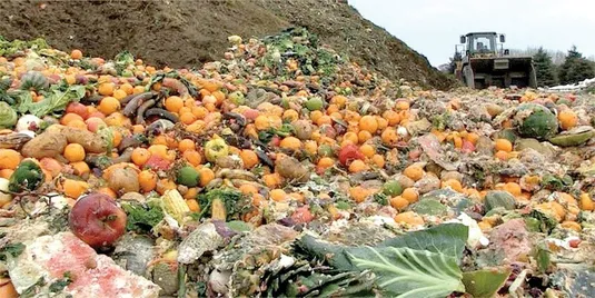 اولویت&zwnj;گذاری برای کاهش ضایعات در ۲۲ محصول کشاورزی
