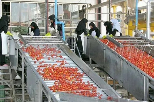 سرمایه&zwnj;گذاری ۱۸ همتی در صنایع و مکانیزاسیون کشاورزی